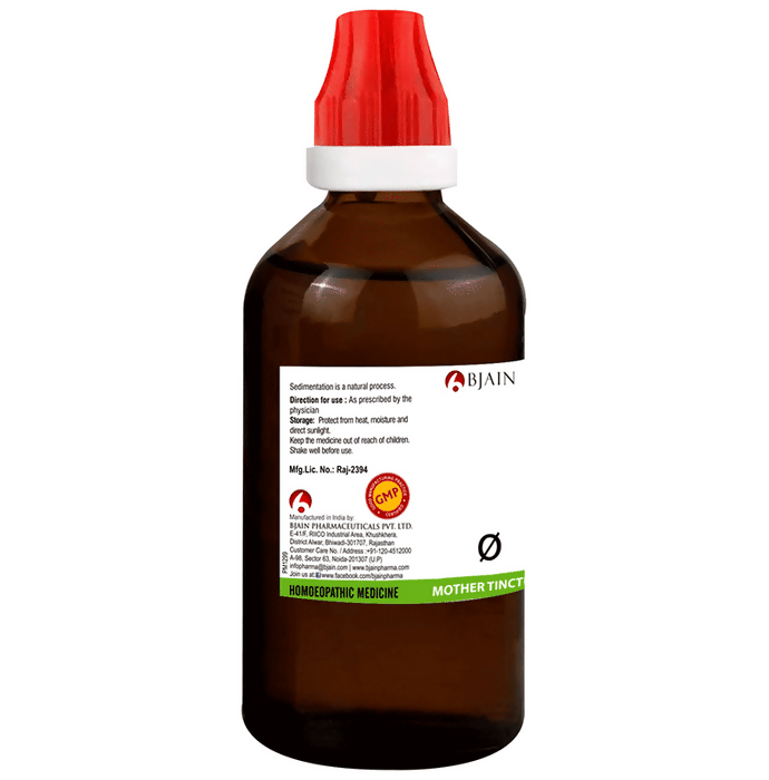 Bjain Homeopathy Carica Papaya Mother Tincture Q  Grab2Buy Bjain Homeopathy Grab2Buy