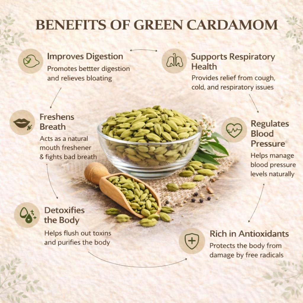 Village-Organica Green Cardamom (Elaichi) Whole – Handpicked  Grab2Buy Village-Organica Grab2Buy