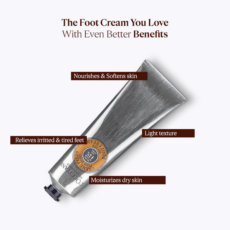 download - 2024-09-24T150015.905