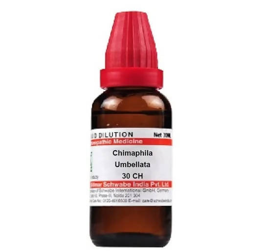 Dr. Willmar Schwabe India Chimaphila Umbellata Dilution 