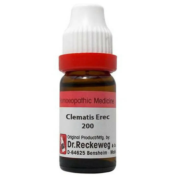 Dr. Reckeweg Clematis Erec Dilution - Grab2buy