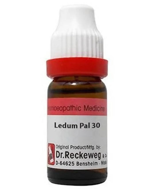 Dr. Reckeweg Ledum Pal Dilution - Grab2buy