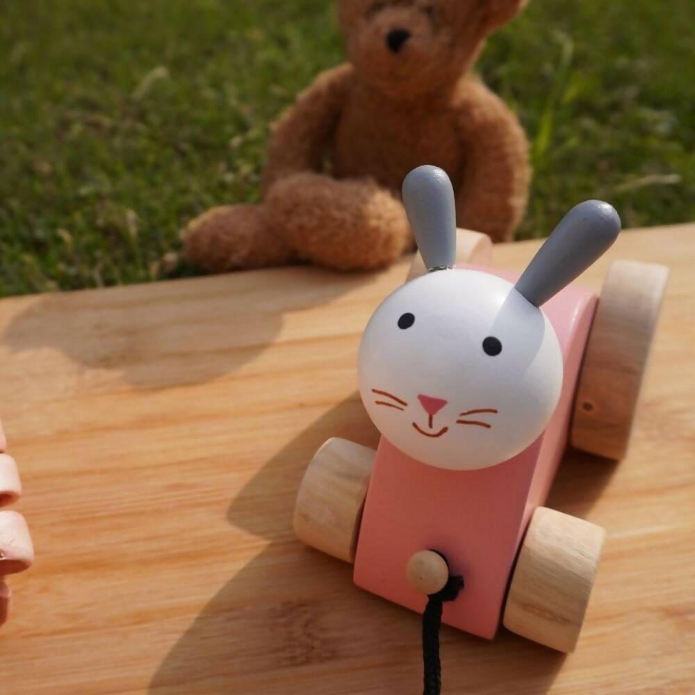 Matoyi Rabbit Wooden Pull Along Toy For Kids - Grab2buy