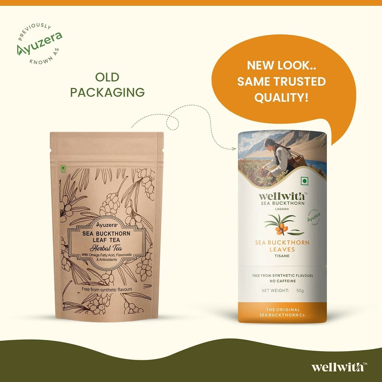 Wellwith Sea Buckthorn Raw Leaves Tea - Himalayan Herbal Leaf Tea  Grab2Buy Wellwith Grab2Buy