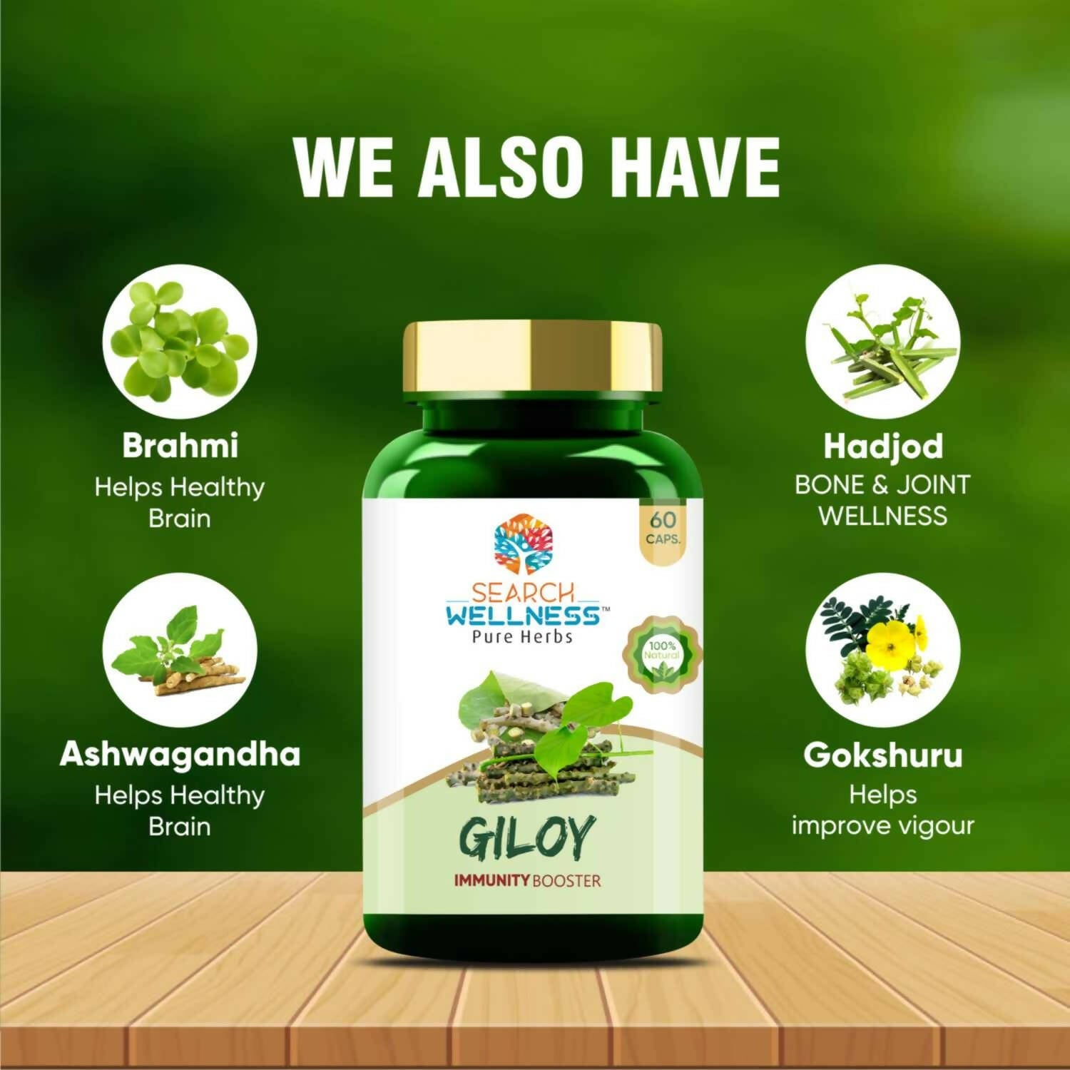 Search Wellness Giloy Capsules 