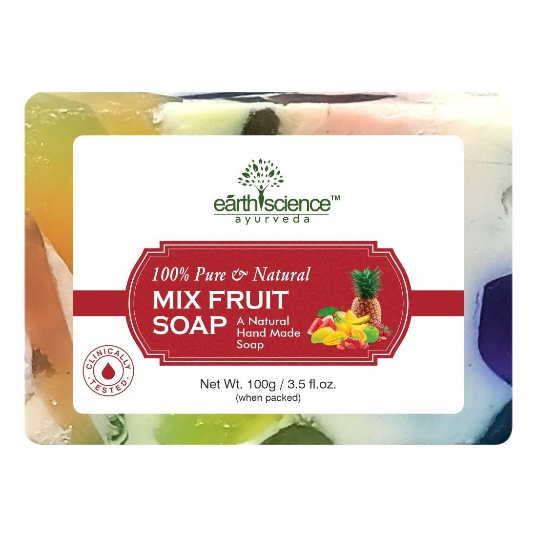 Earth Science Ayurveda Mix Fruit Bath Soap 