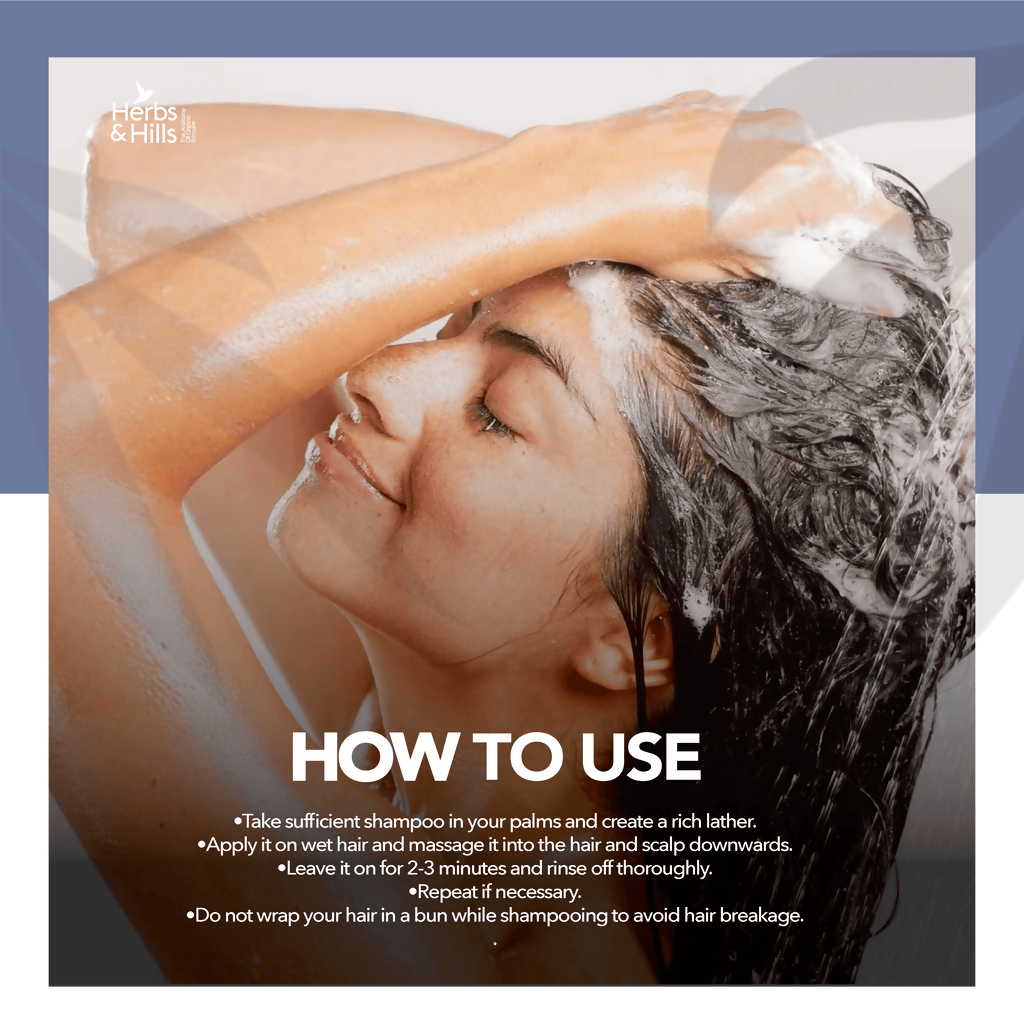 download - 2025-04-26T161910.575