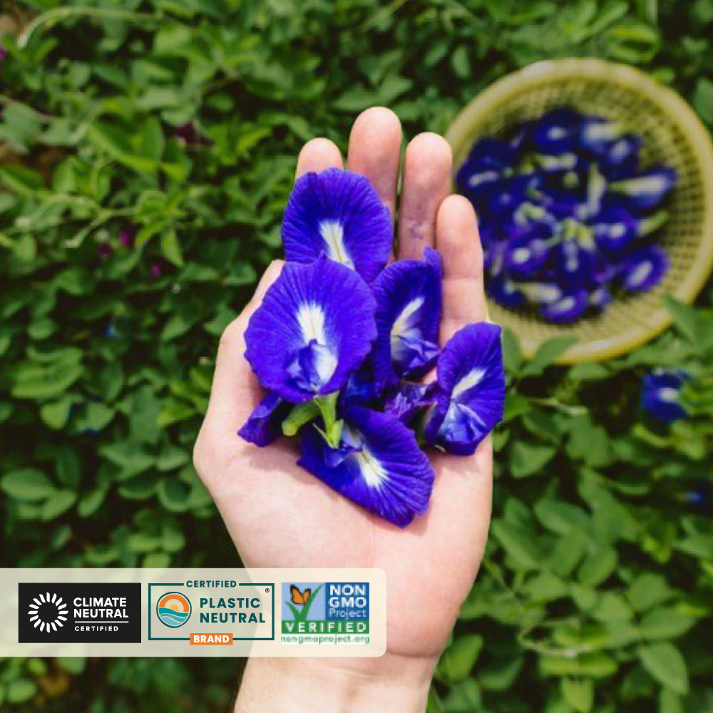 Butterfly Pea Flower Herbal Tea, 40 Count 