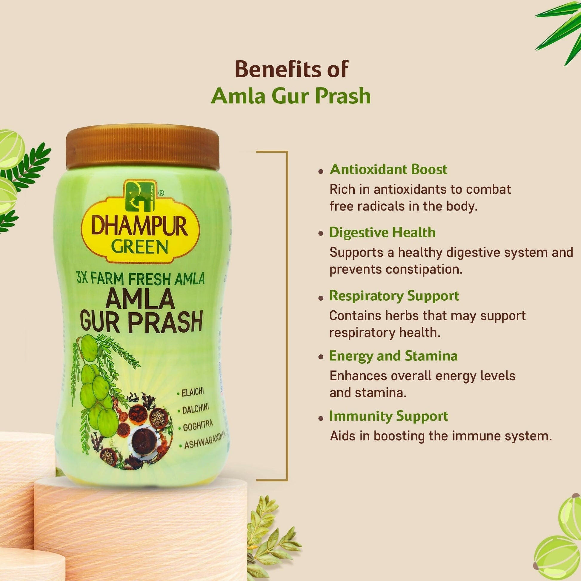 Dhampur Green Amla Gur Prash 
