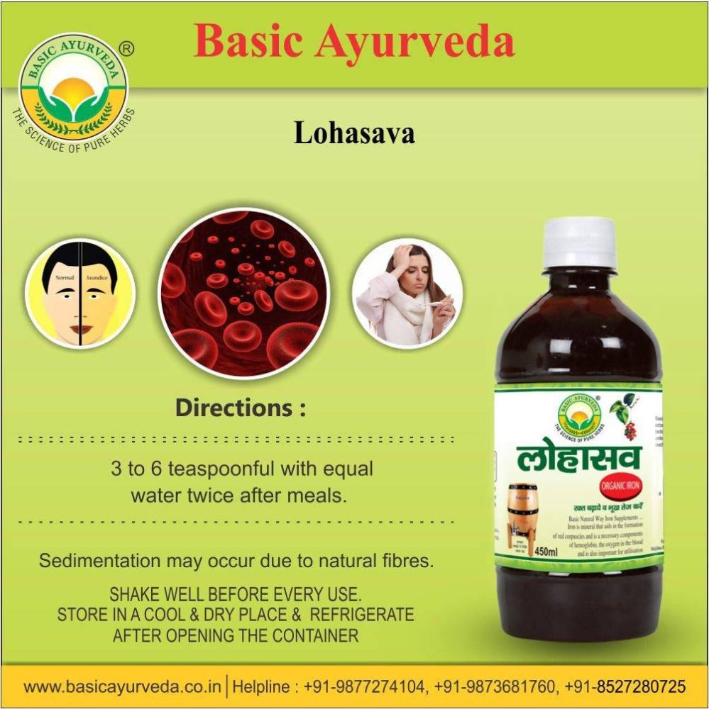 Basic Ayurveda Lohasava 