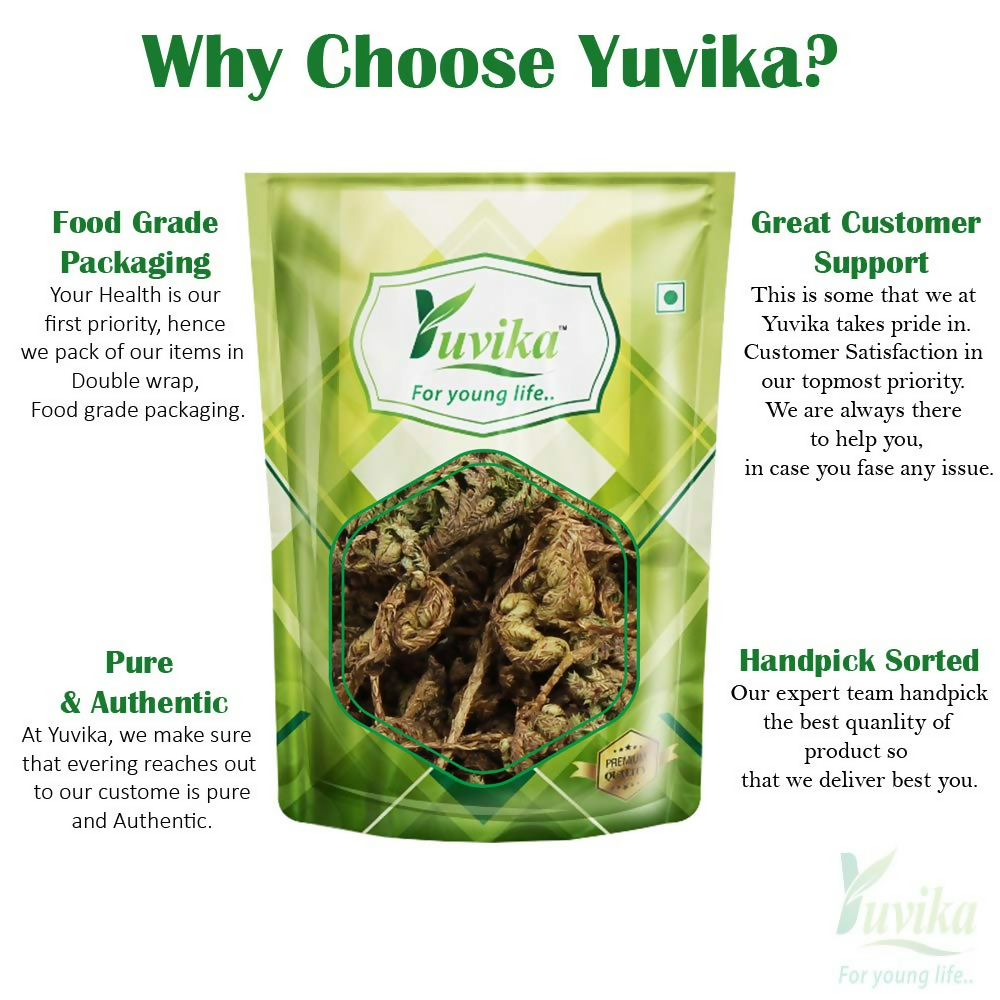 Yuvika Laxman Booti - Lakshman Booti - Selaginella Bryopteris - Guma 