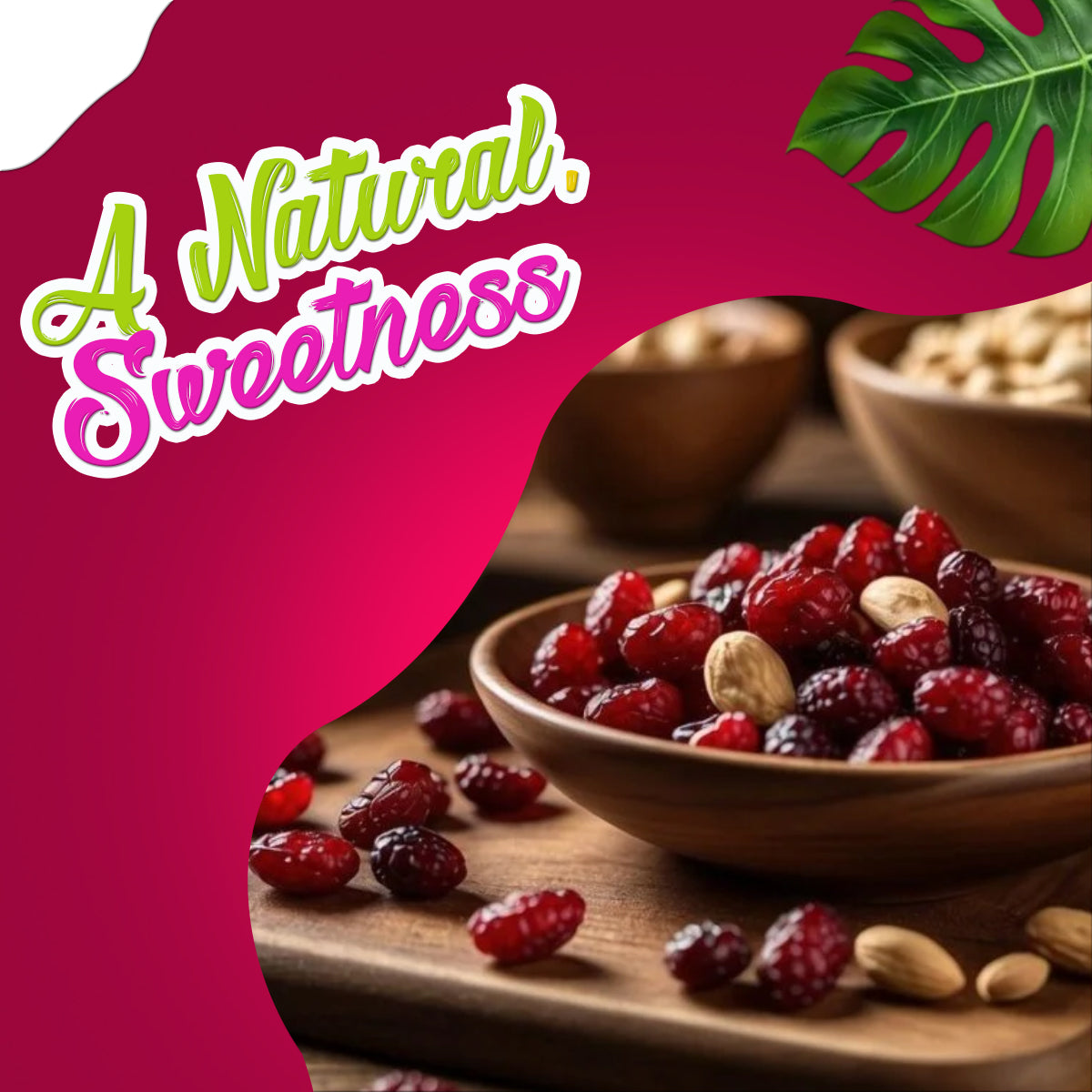 Yum Yum Dried Cranberry Jar  Grab2Buy Yum Yum Grab2Buy