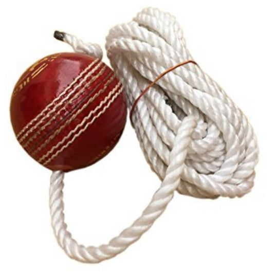 Tima Leather Cricket Shot Practice Hanging Ball 