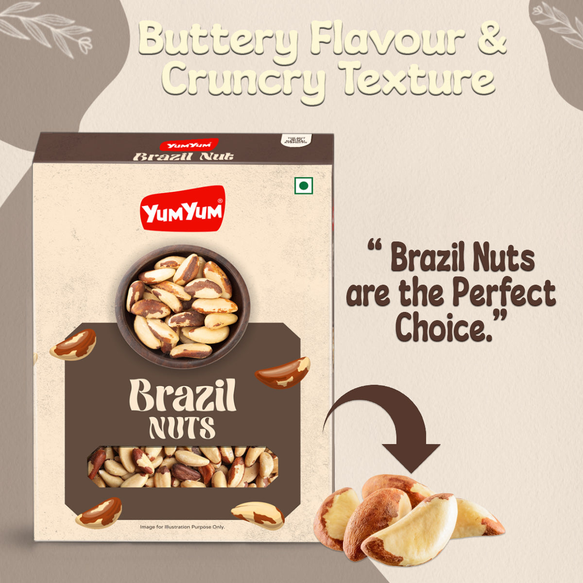 Yum Yum Brazil Nuts Box  Grab2Buy Yum Yum Grab2Buy