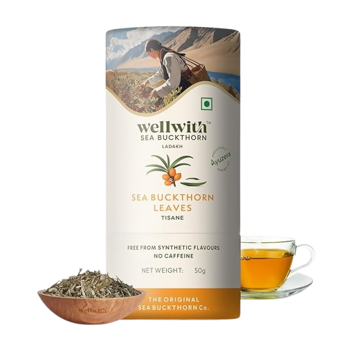 Wellwith Sea Buckthorn Raw Leaves Tea - Himalayan Herbal Leaf Tea  Grab2Buy Wellwith Grab2Buy