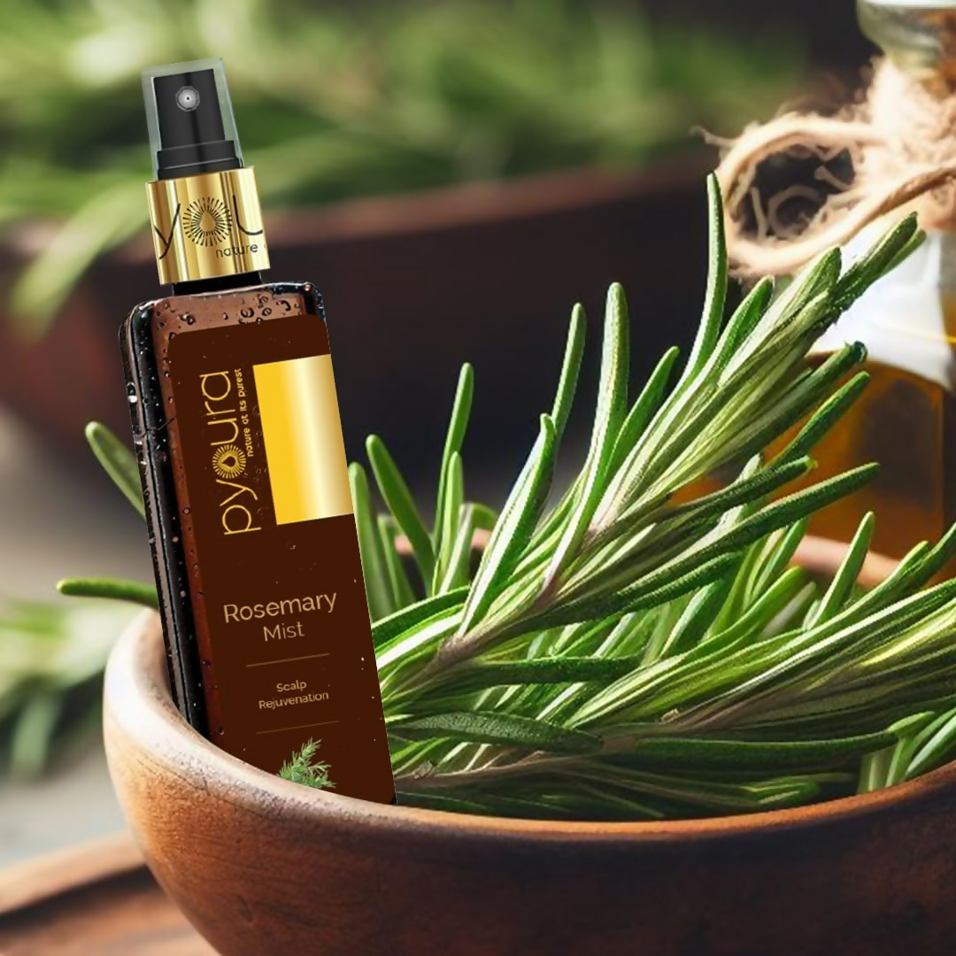 download - 2024-11-11T112618.220