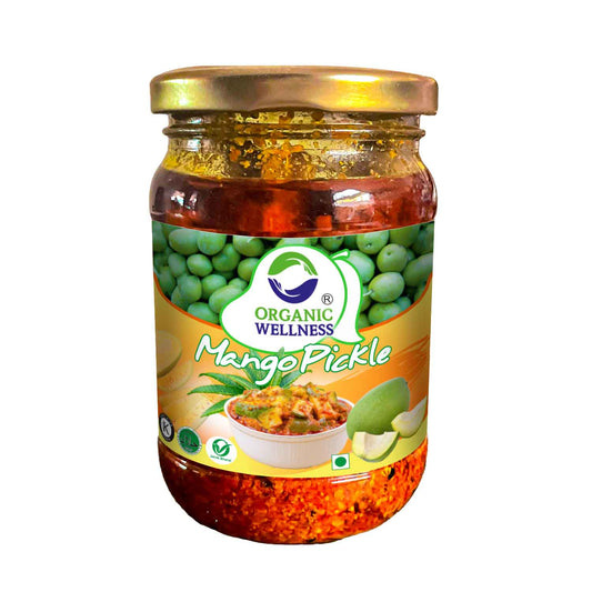 Organic Wellness Mango Pickle - Grab2buy