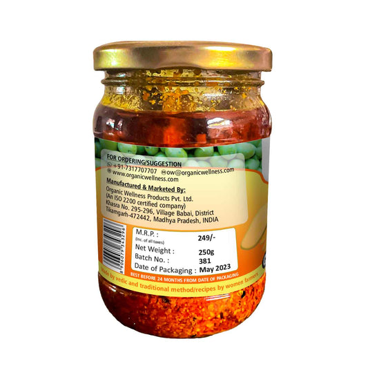 Organic Wellness Mango Pickle - Grab2buy