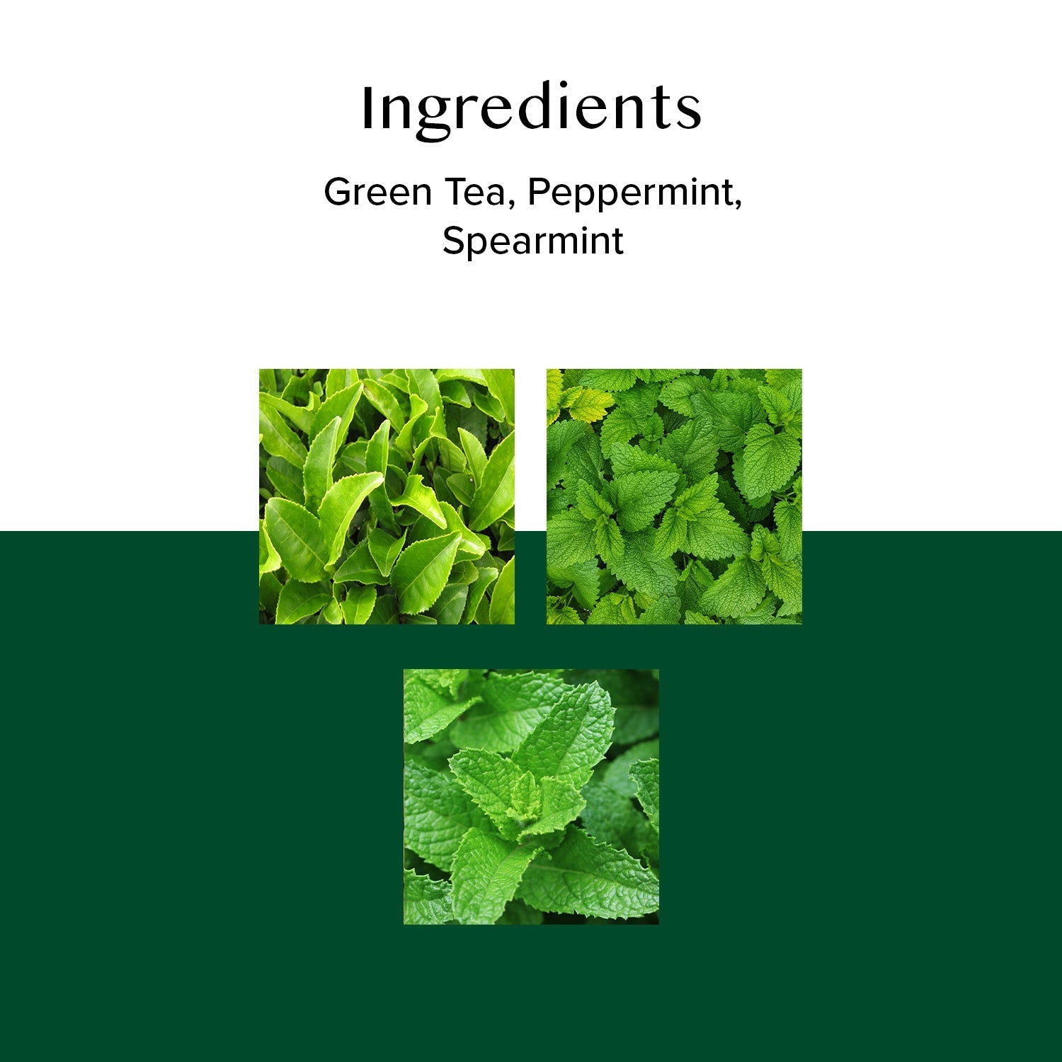 Mint Melody Green Tea, 100 Count 