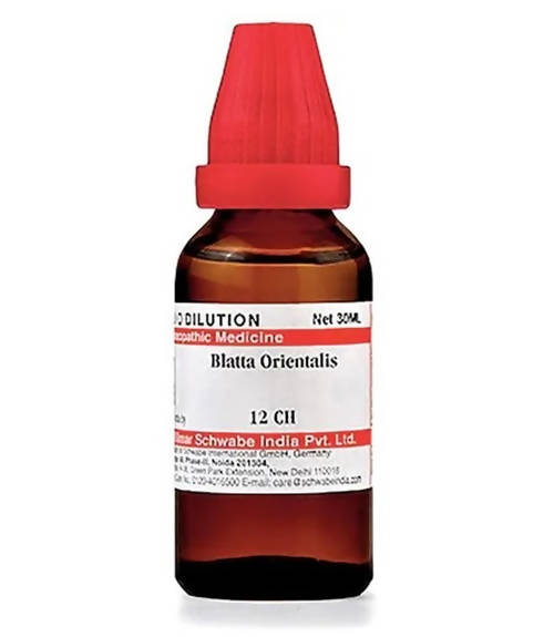 Dr. Willmar Schwabe India Blatta Orientalis Dilution 