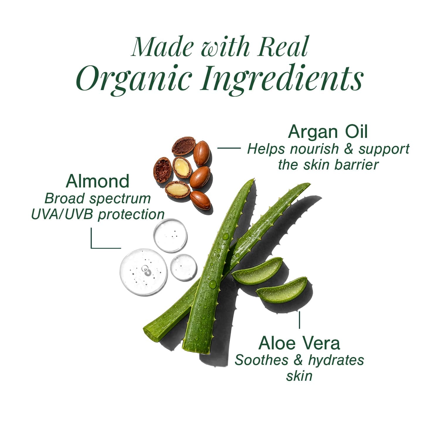Moisturising Mineral Sunscreen" to "Mineral Sunscreen SPF 40 — Certified Organic 