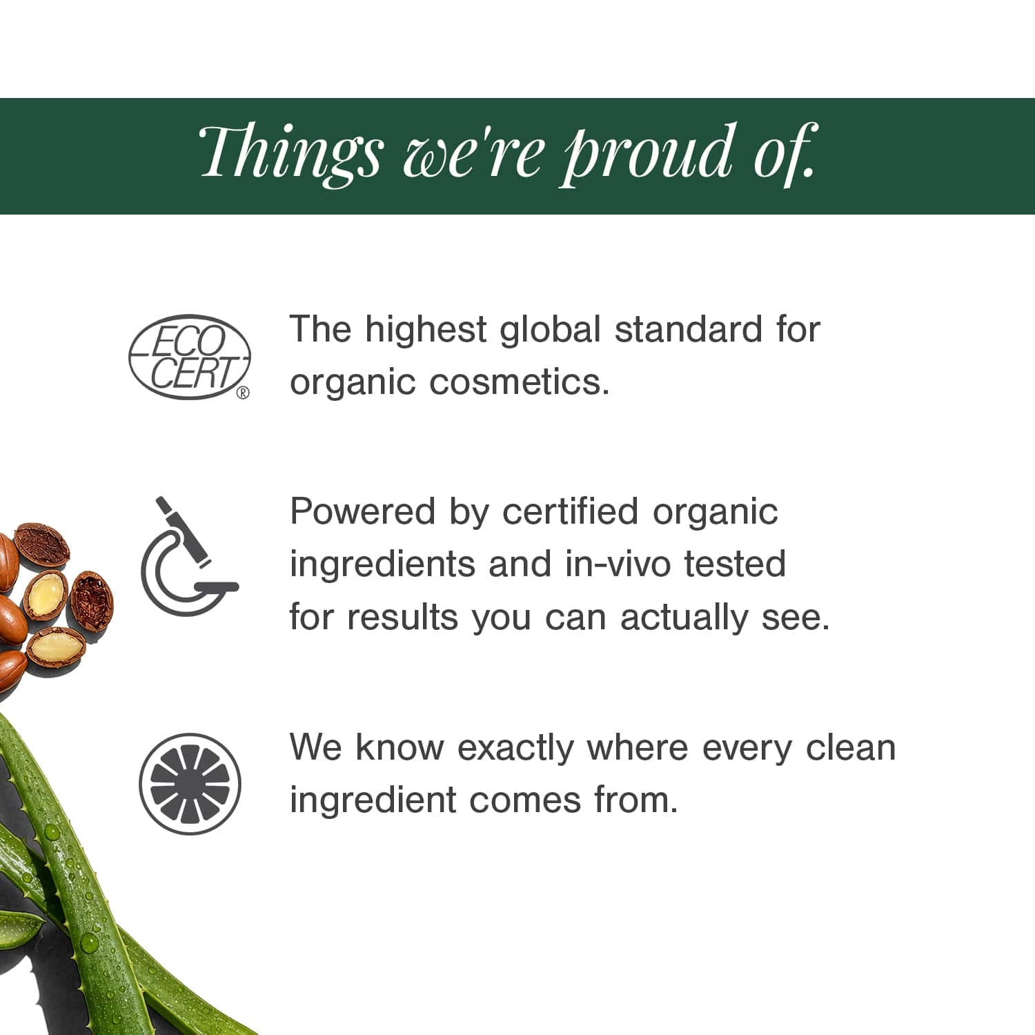 Moisturising Mineral Sunscreen" to "Mineral Sunscreen SPF 40 — Certified Organic 
