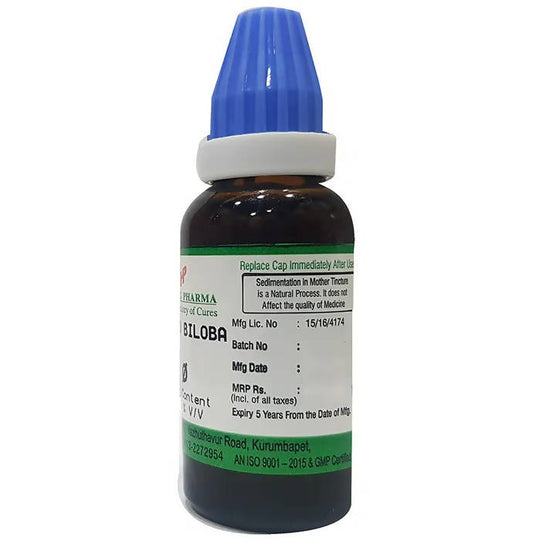 Hering Pharma Ginkgo Biloba Mother Tincture Q - Grab2buy