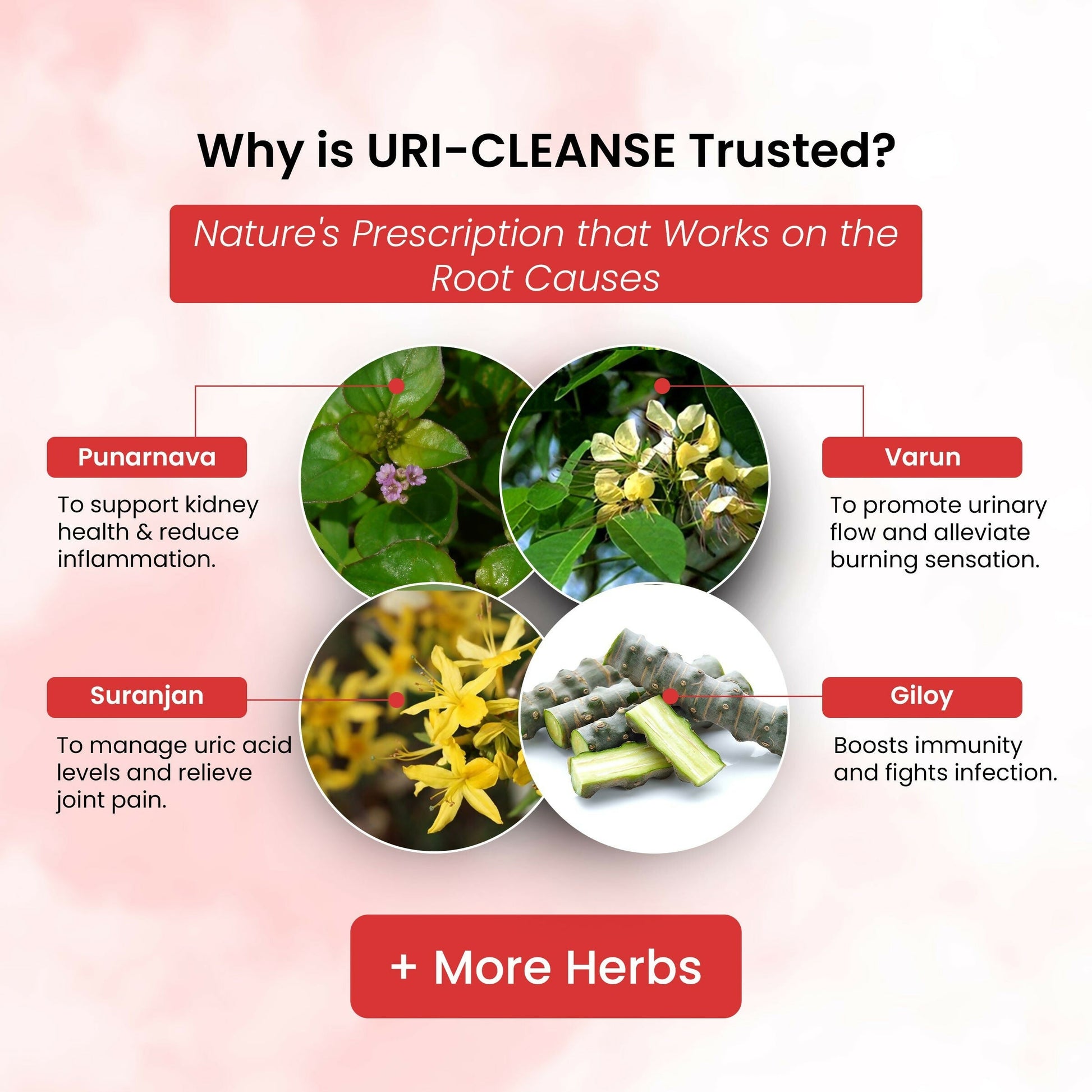 Life Aveda Uri- Cleanse Capsules - Grab2buy