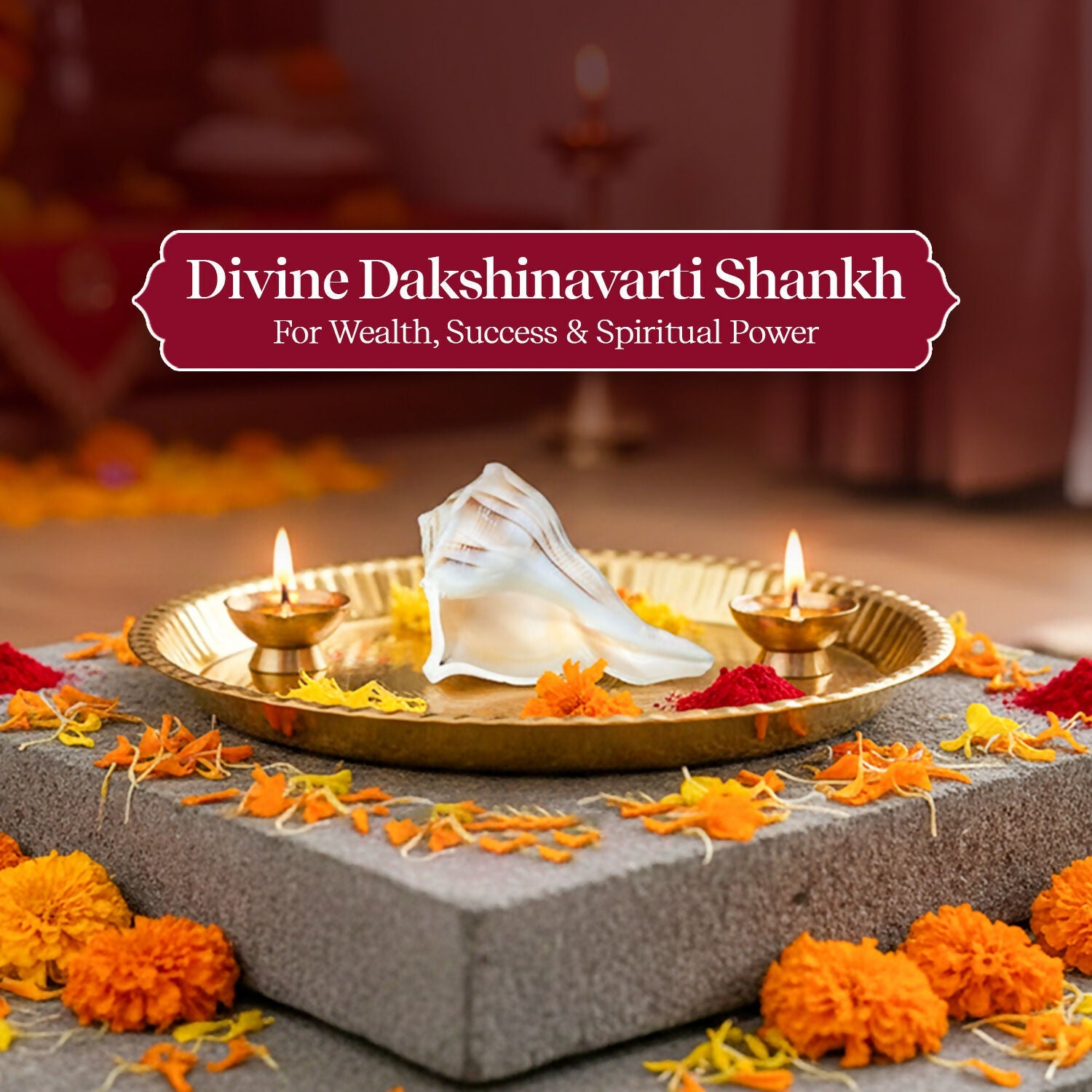 Pujashree Dakshinavarti Shankh – Sacred Hindu Conch For Puja
