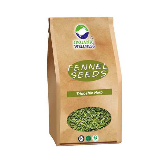 Organic Wellness Fennel Seeds - Grab2buy