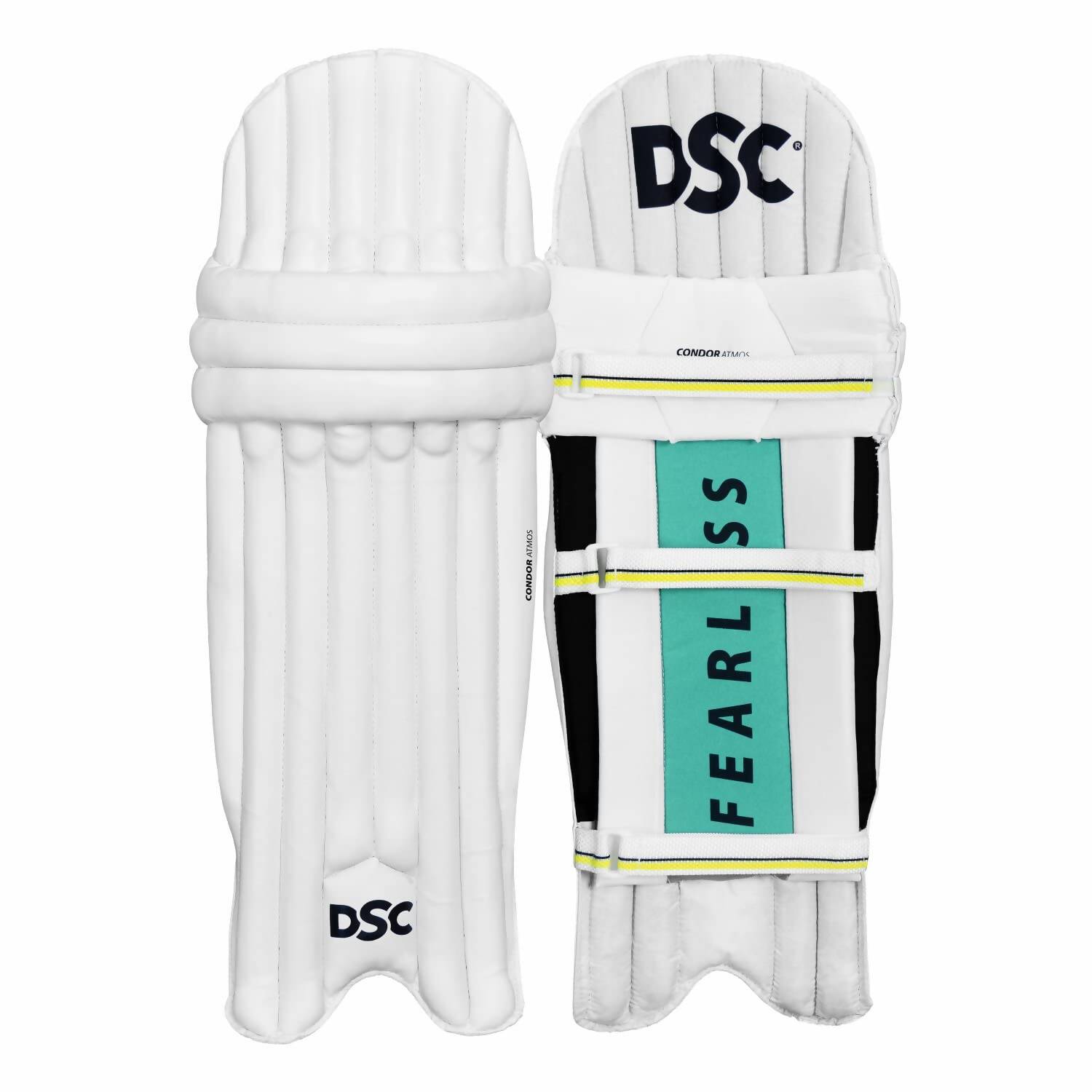 DSC Economy Kashmir Willow Cricket Kit (Size 5) 