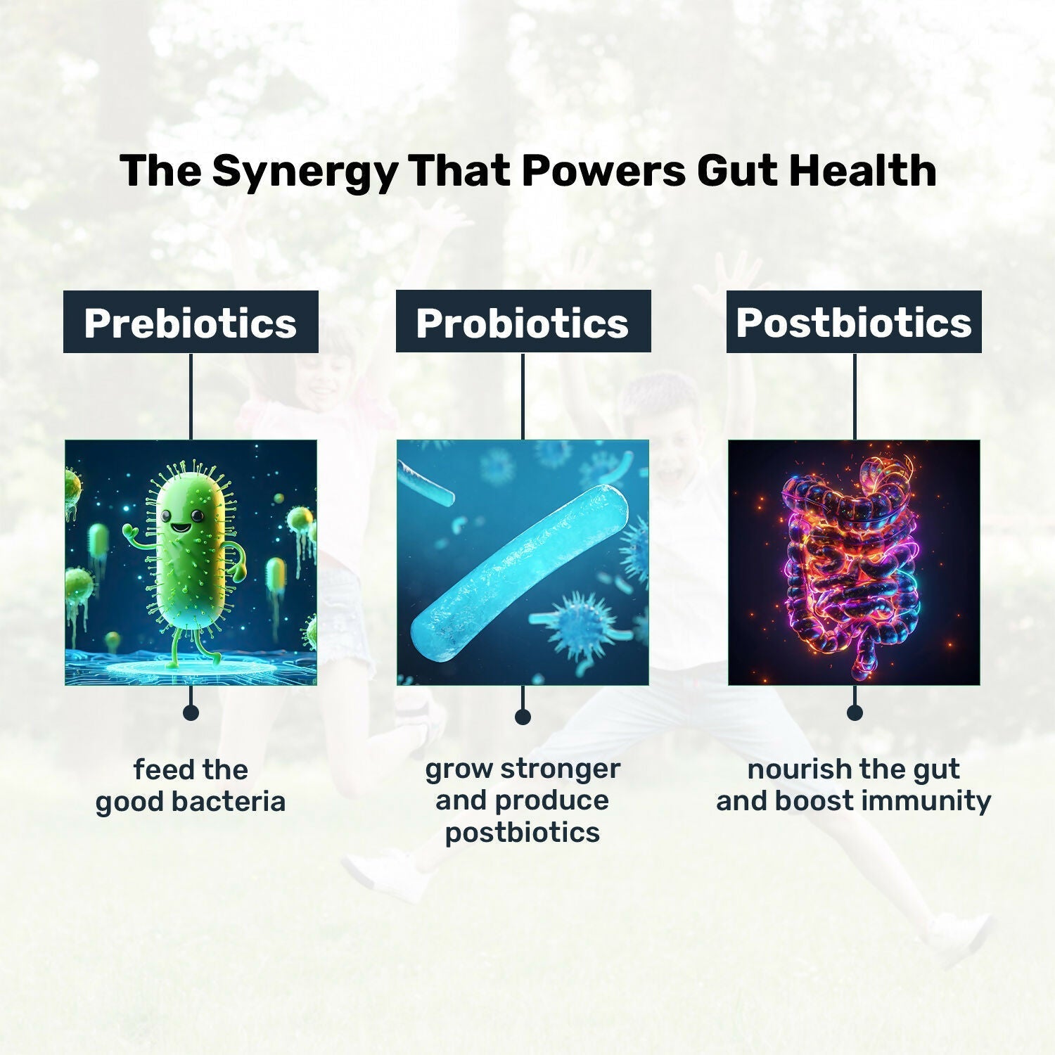 Miduty by Palak Notes Probiotics+ Kids 