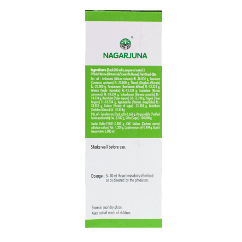 Nagarjuna Ayurveda Gason Syrup 