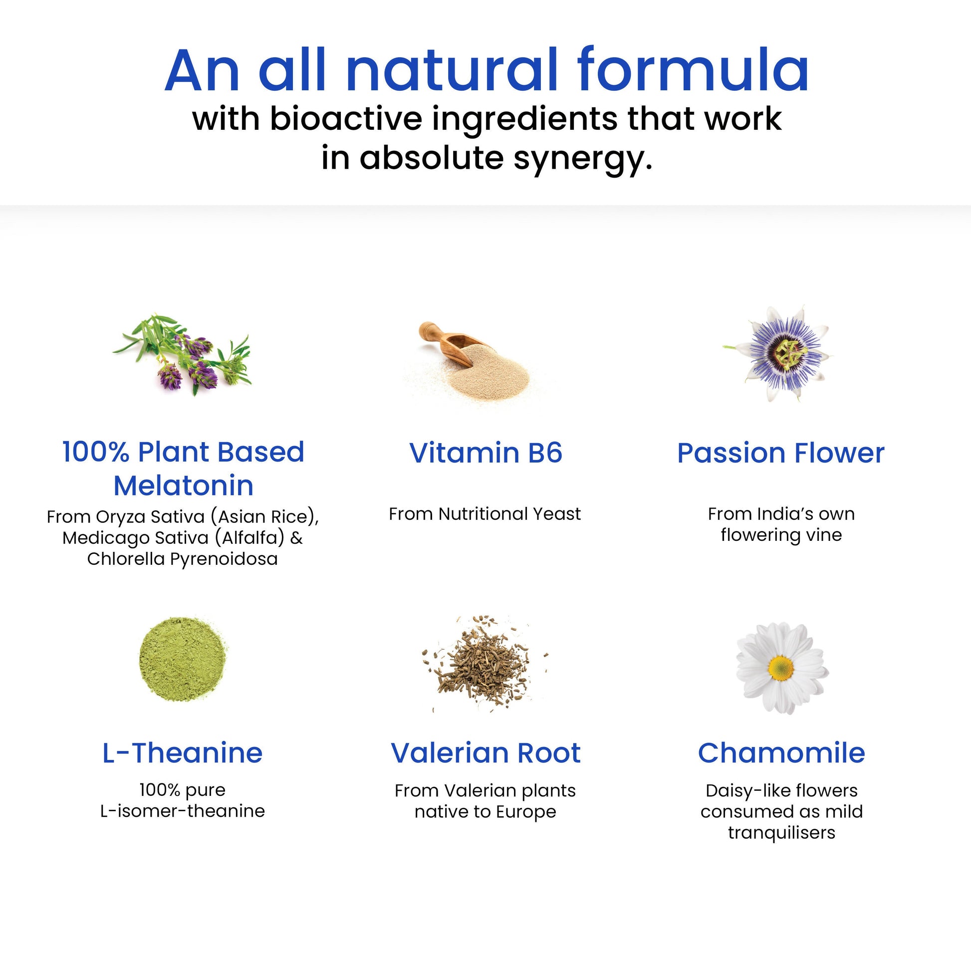 Wellbeing Nutrition Melts Restful Sleep Oral Strips-Calming Chamomile Lavender Flavor - Grab2buy