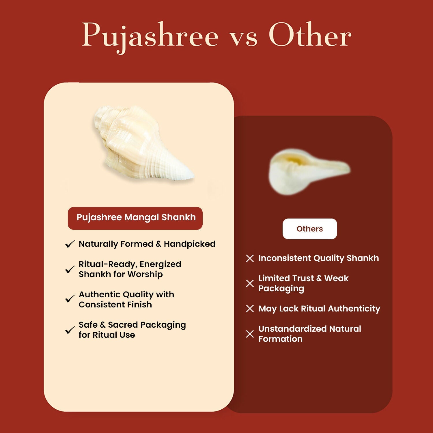 Pujashree Mangal Shankh – Navagraha Conch For Strength, Courage & Protection