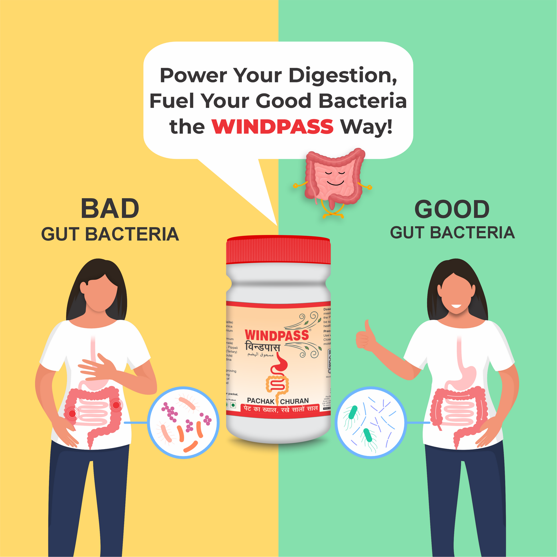 Satya Pharmaceuticals Ayurveda Windpass Pachak Churan 