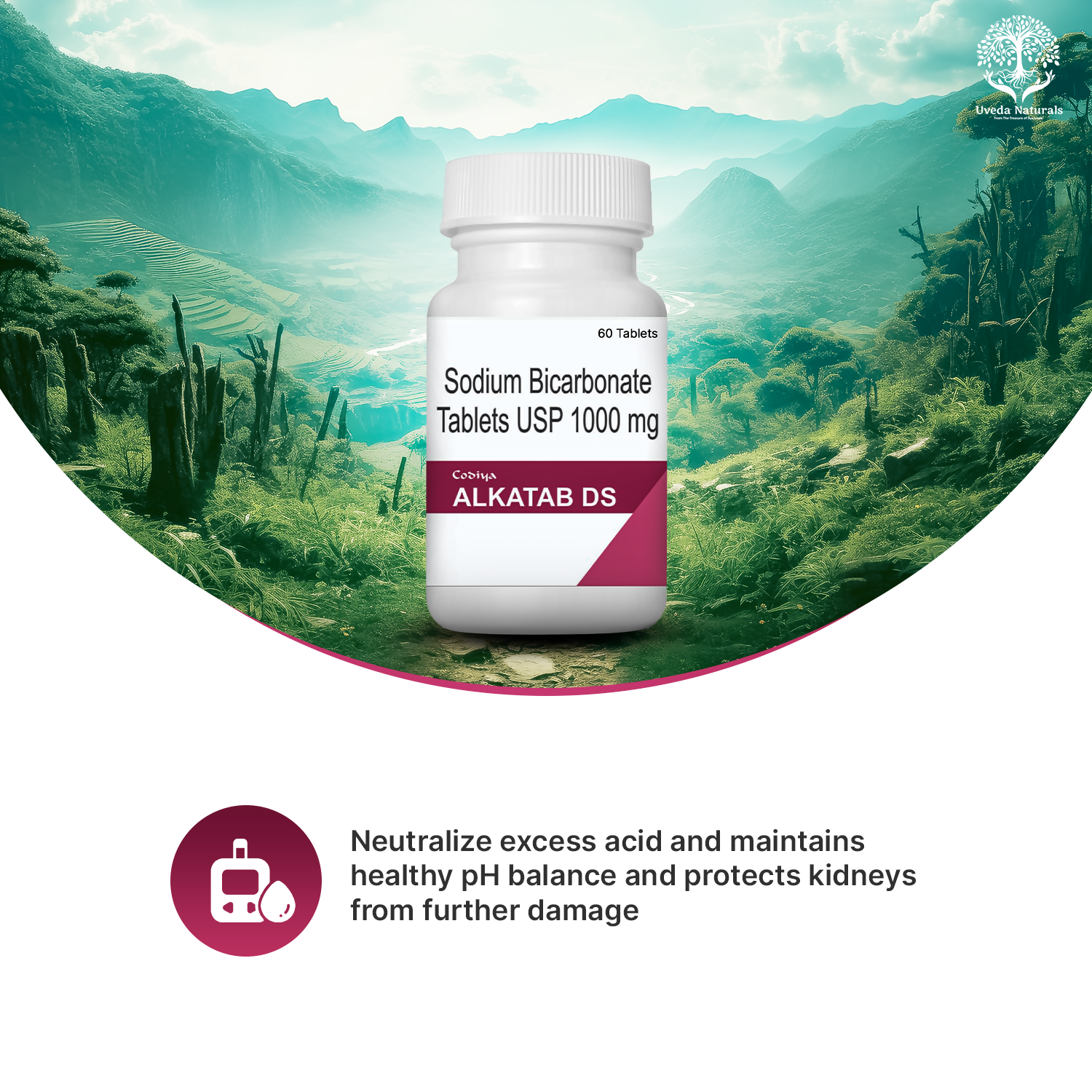 Uveda Naturals Codiya Alkatab DS Tablets 