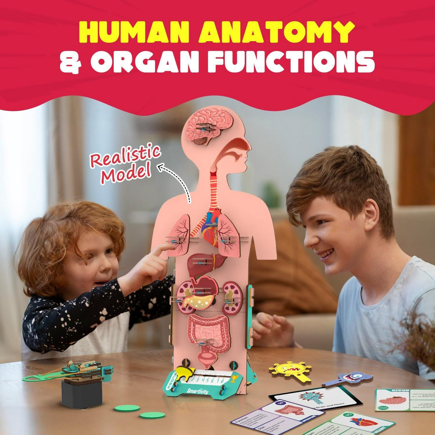 Smartivity Human Body Toy For Kids 6-12 Years Body Organs & Functions