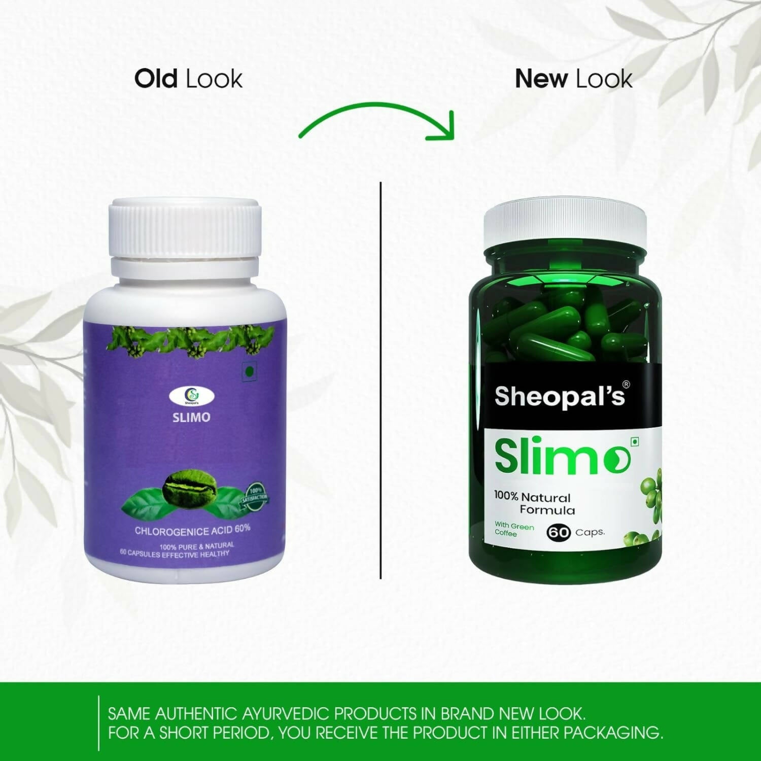 Sheopal's Slimo Pure & Natural Green Coffee Extract Capsules - Grab2buy