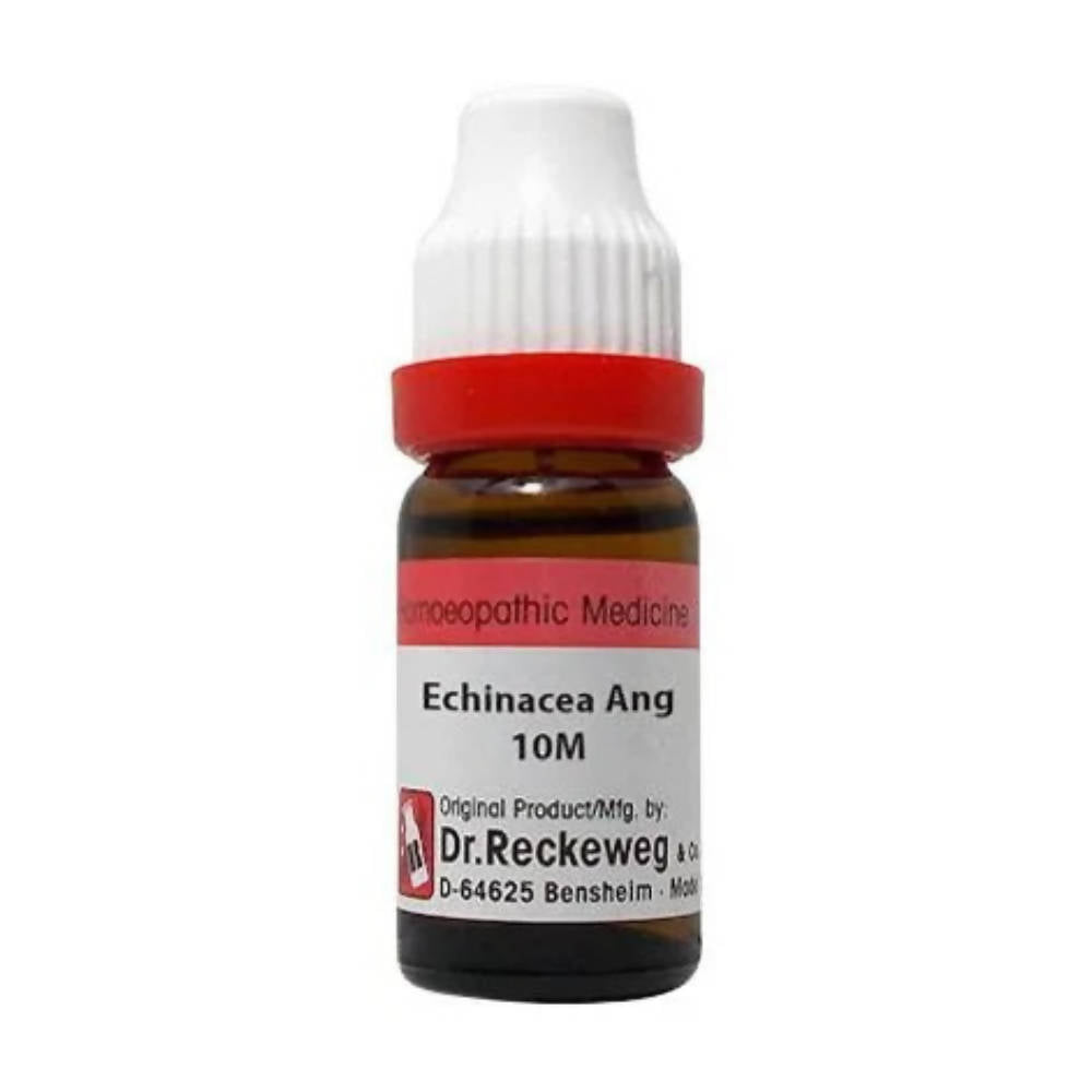 Dr. Reckeweg Echinacea Ang Dilution - Grab2buy