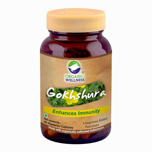 Organic Wellness Gokhshura Vegetarian Capsules - Grab2buy