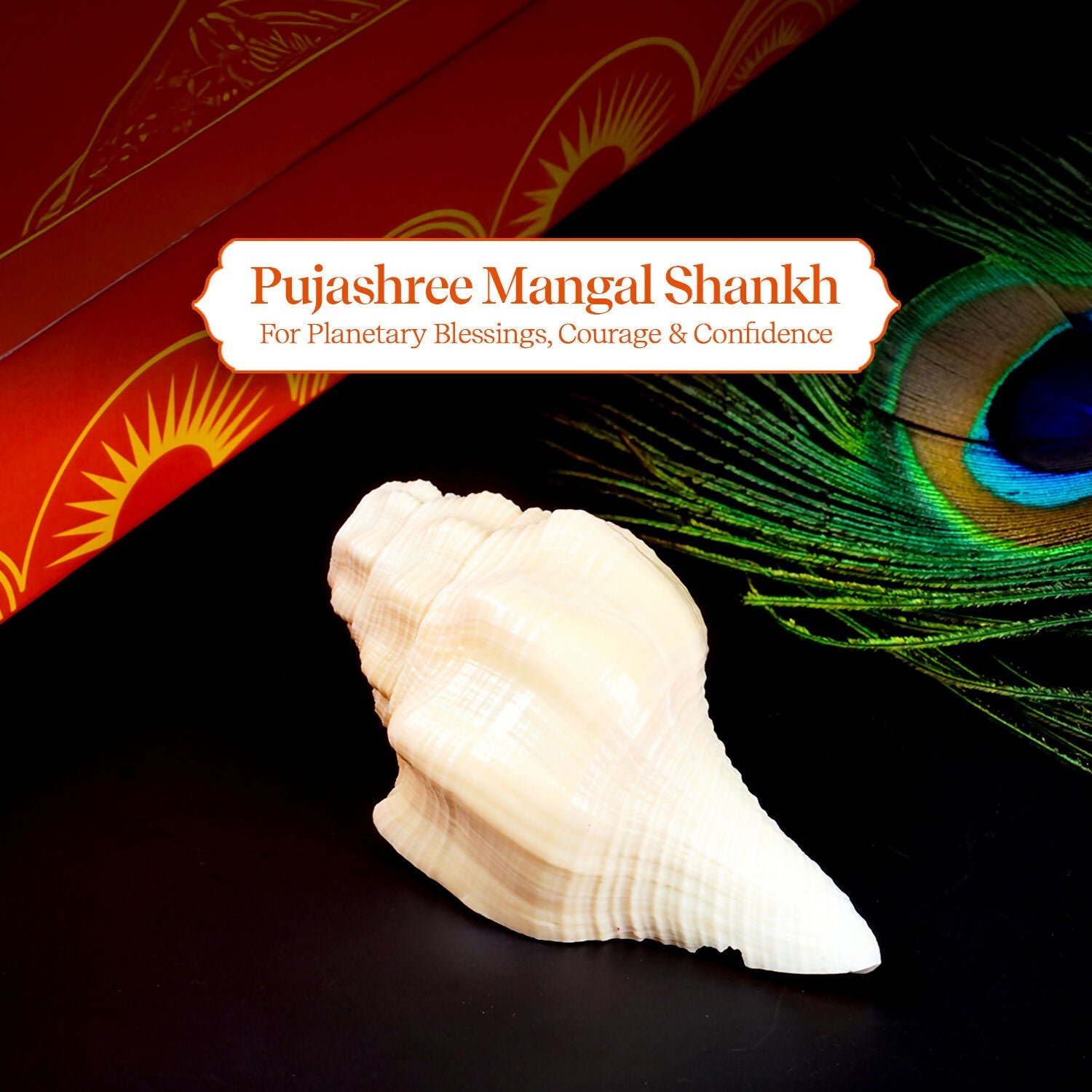 Pujashree Mangal Shankh – Navagraha Conch For Strength, Courage & Protection
