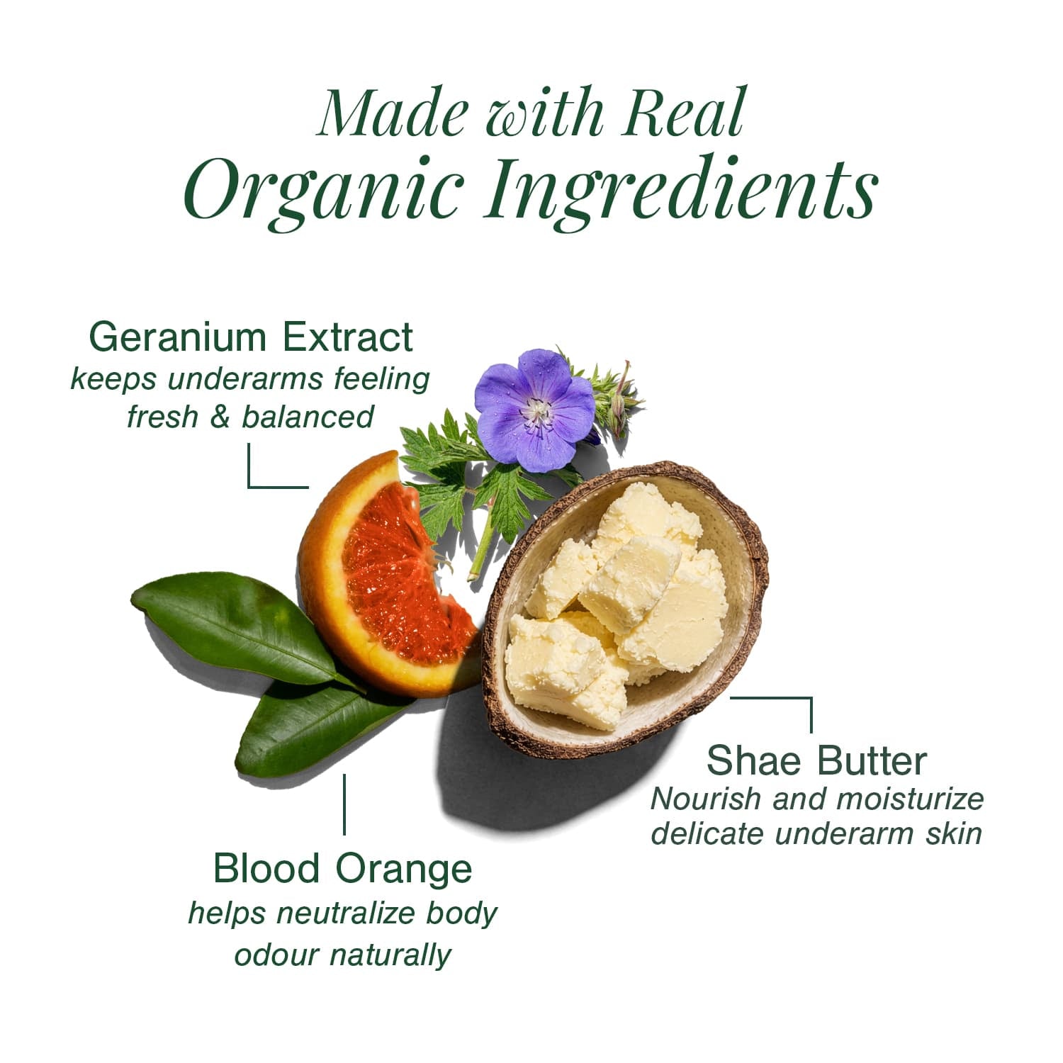 Organic Deodorant Fortified with Blood Orange + Geranium 