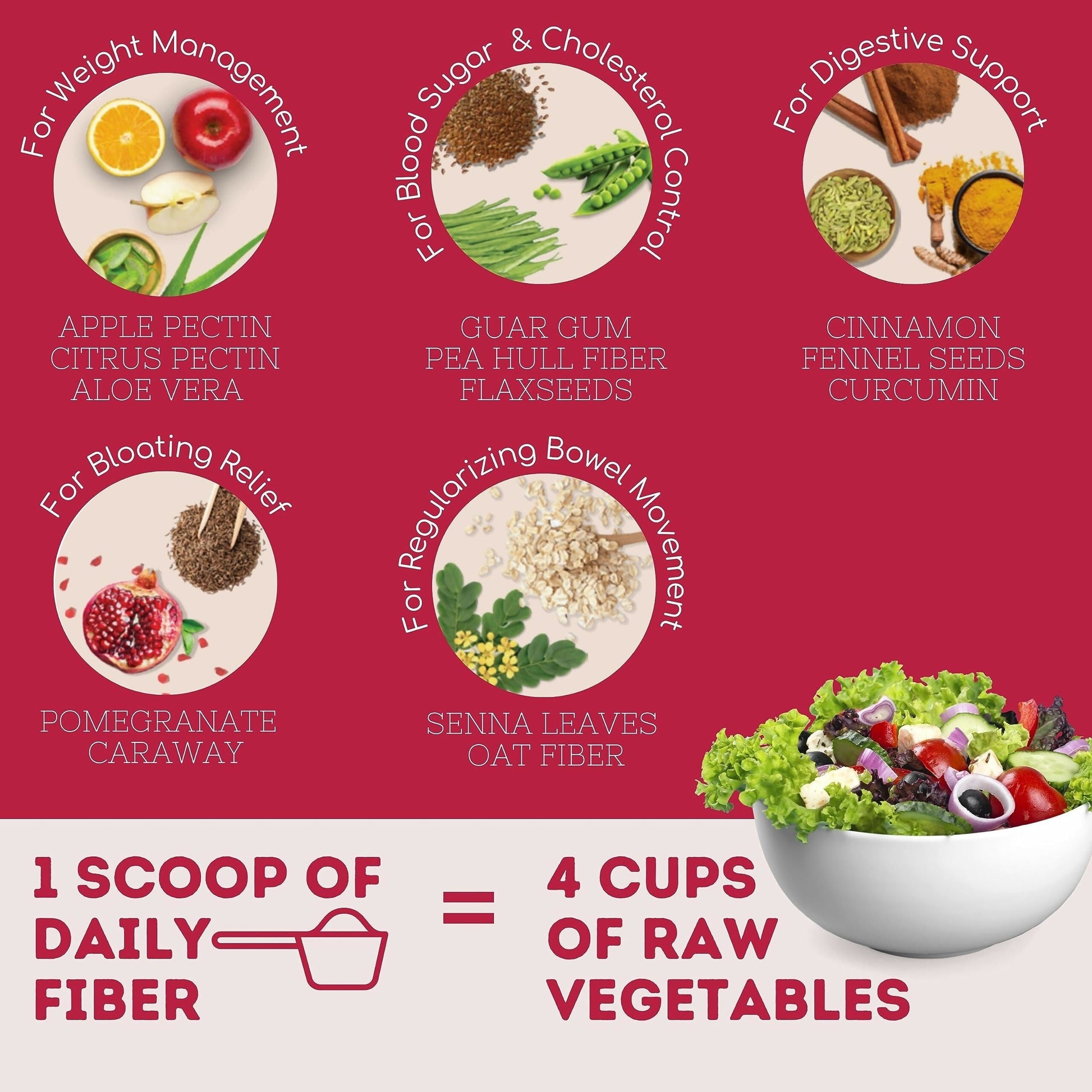 Wellbeing Nutrition Daily Fiber Powder - Vanilla Berry & Pina Colada Combo  Grab2Buy Wellbeing Nutrition Grab2Buy
