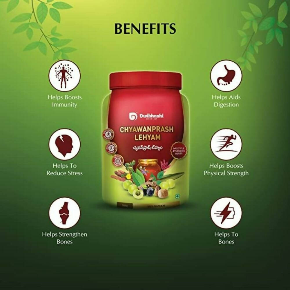 Dwibhashi Chyawanprash Lehyam - Grab2buy
