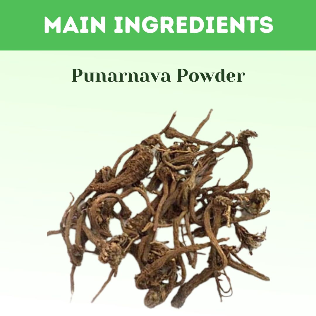 Herbal Hills Ayurveda Punarnava Powder 