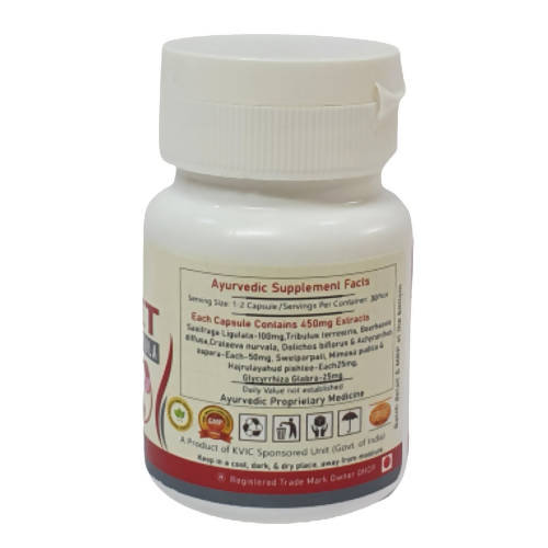 Deep Ayurveda Renfit 500mg Veg Capsules - Grab2buy