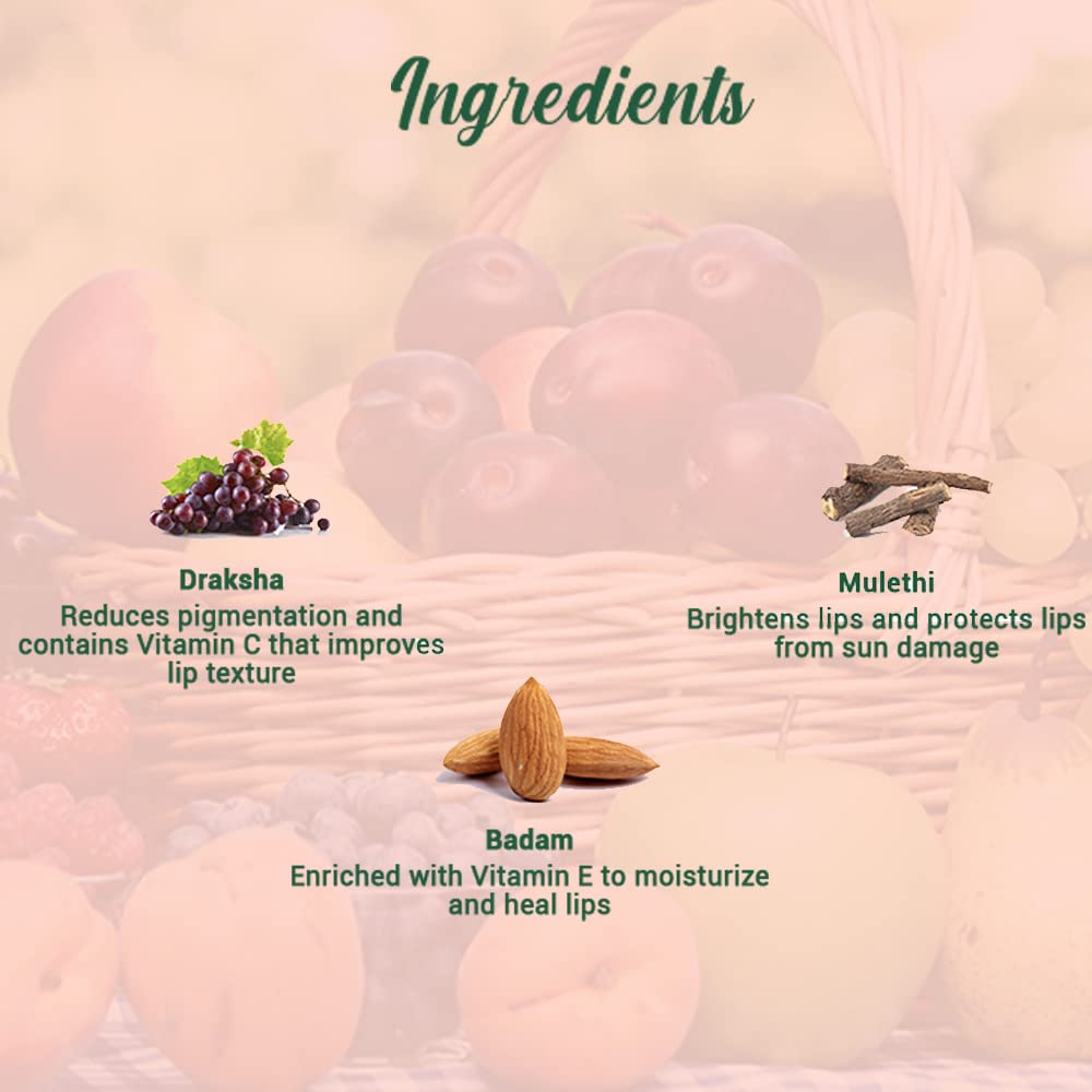 Biotique Advanced Ayurveda Bio Fruit Whitening Lip Balm  Grab2Buy Biotique Grab2Buy