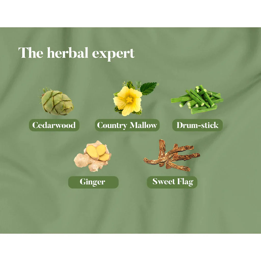 Himalaya Wellness Pain Relief Oil 