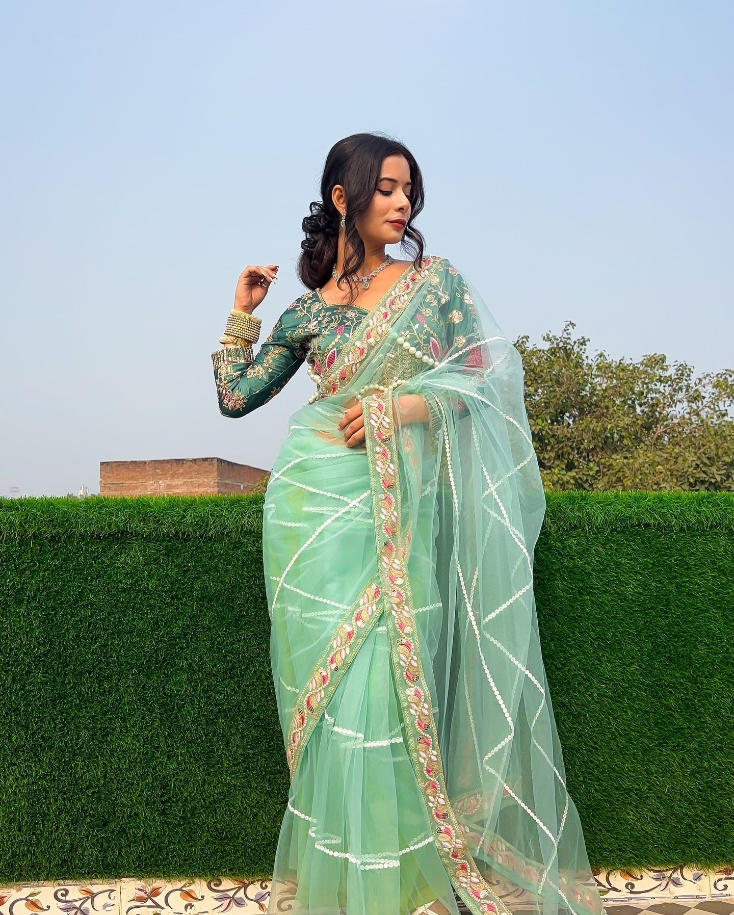 Evanik Pista Net Embroidery work Saree with Moti Hand work Blouse